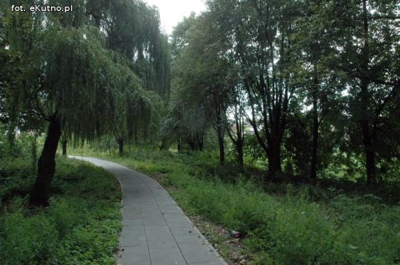 Zielone tereny zaniedbane w Kutnie cz.1.