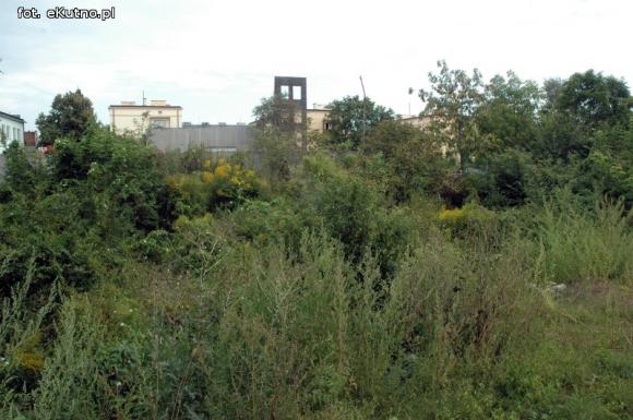 Zielone tereny zaniedbane w Kutnie cz.1.
