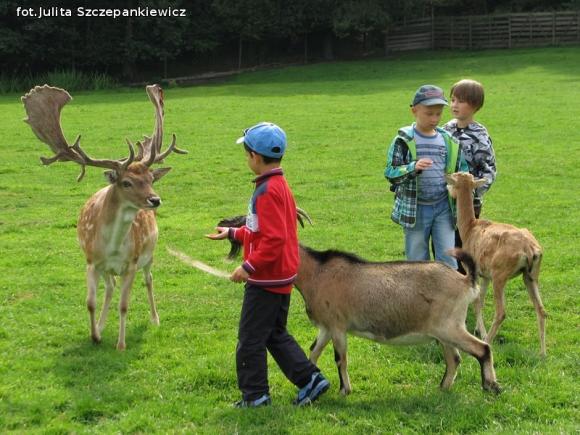 TPZK na mazurskim szlaku