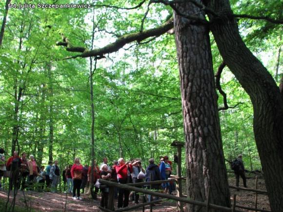 TPZK na mazurskim szlaku