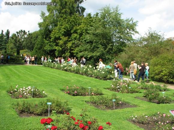 W nagrodę pojechali do Wschodnioniemieckiego Ogrodu Różanego