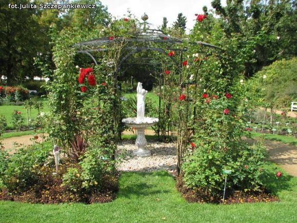 W nagrodę pojechali do Wschodnioniemieckiego Ogrodu Różanego