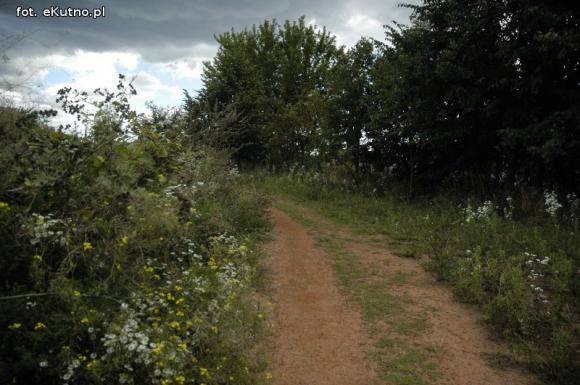 Czytelnicy piszą: Rekreacja w chaszczach