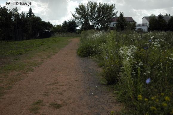 Czytelnicy piszą: Rekreacja w chaszczach