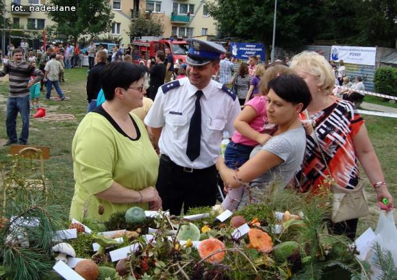 Festyn Rodzinny z PSSE w Kutnie