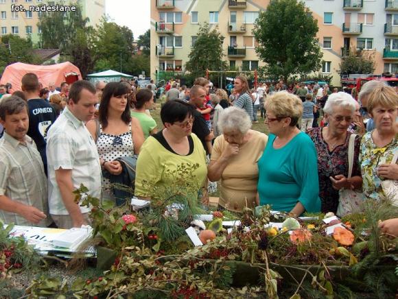 Festyn Rodzinny z PSSE w Kutnie