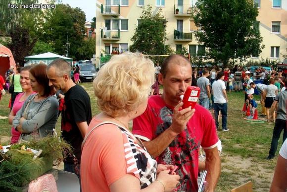 Festyn Rodzinny z PSSE w Kutnie