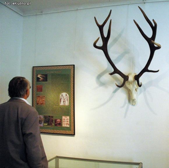 Głowa dzika, hełm, tetradrachmy i pokazy. Nowa wystawa w Muzeum