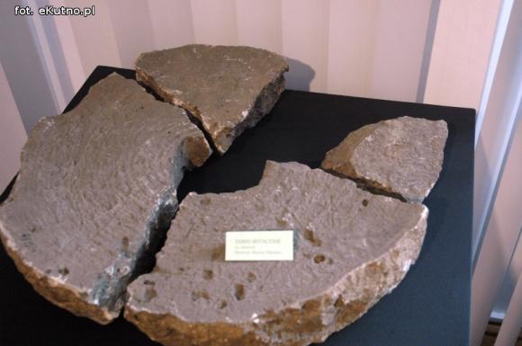 Głowa dzika, hełm, tetradrachmy i pokazy. Nowa wystawa w Muzeum