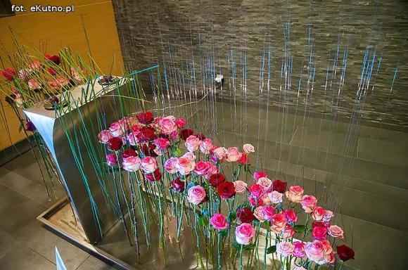 40 lat różanej tradycji w Kutnie. Jubileuszowe Święto Róży