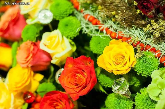 40 lat różanej tradycji w Kutnie. Jubileuszowe Święto Róży