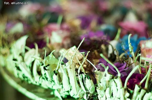 40 lat różanej tradycji w Kutnie. Jubileuszowe Święto Róży