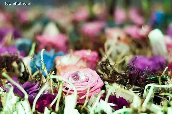 40 lat różanej tradycji w Kutnie. Jubileuszowe Święto Róży