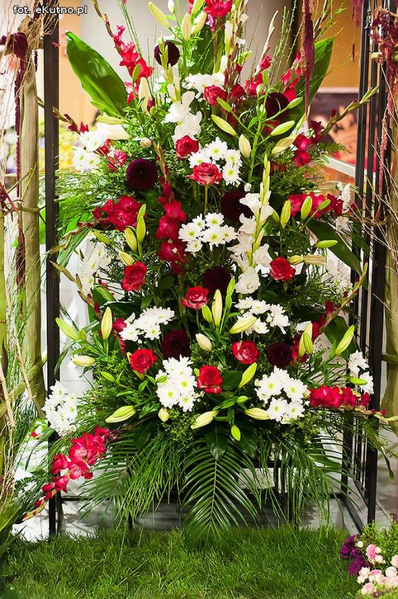 40 lat różanej tradycji w Kutnie. Jubileuszowe Święto Róży