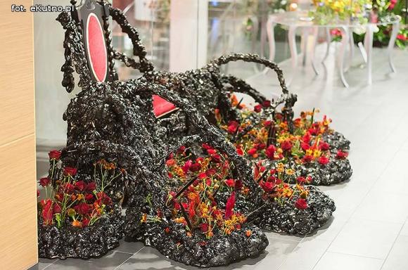 40 lat różanej tradycji w Kutnie. Jubileuszowe Święto Róży