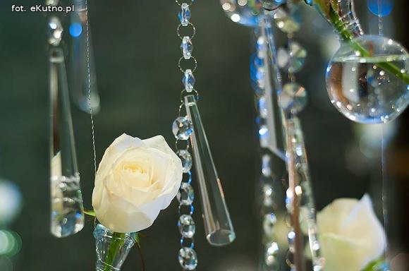 40 lat różanej tradycji w Kutnie. Jubileuszowe Święto Róży