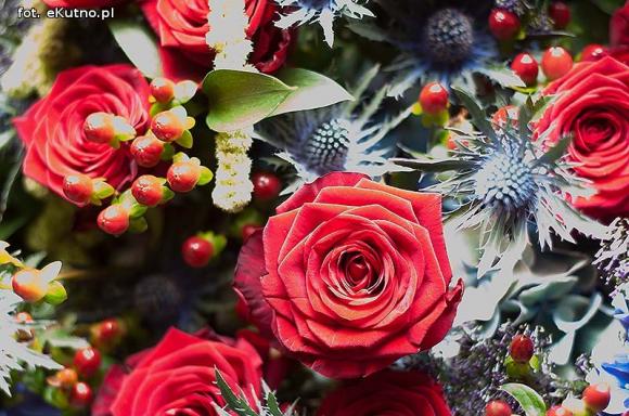 40 lat różanej tradycji w Kutnie. Jubileuszowe Święto Róży