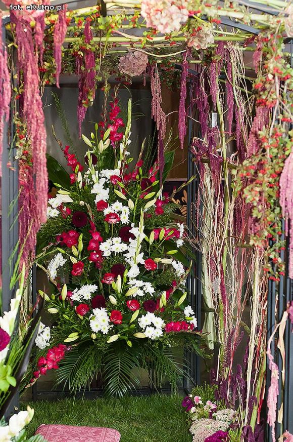 40 lat różanej tradycji w Kutnie. Jubileuszowe Święto Róży