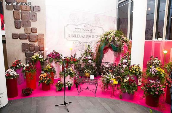 40 lat różanej tradycji w Kutnie. Jubileuszowe Święto Róży