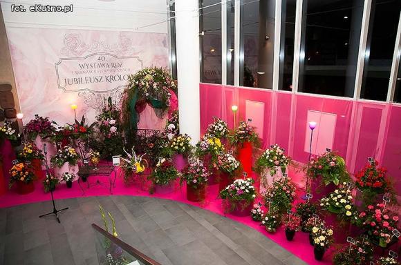 40 lat różanej tradycji w Kutnie. Jubileuszowe Święto Róży