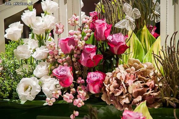 40 lat różanej tradycji w Kutnie. Jubileuszowe Święto Róży