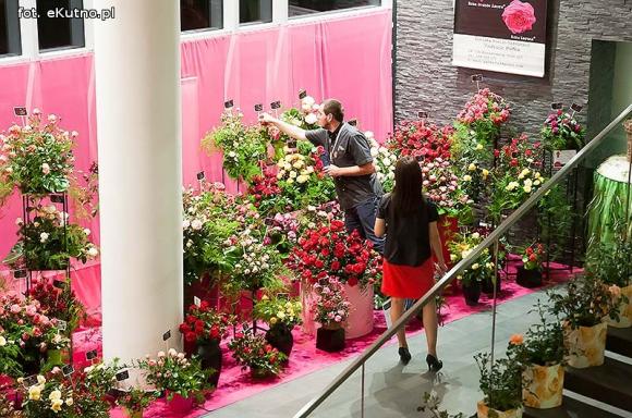 40 lat różanej tradycji w Kutnie. Jubileuszowe Święto Róży