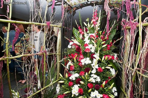 40 lat różanej tradycji w Kutnie. Jubileuszowe Święto Róży