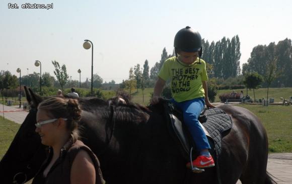 Raj dla ogrodników i dzieciaków