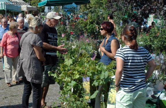 Raj dla ogrodników i dzieciaków