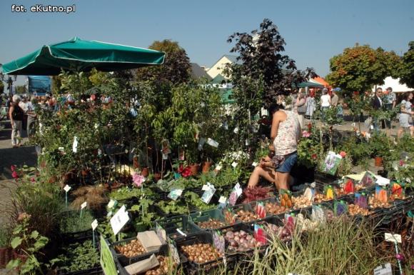 Raj dla ogrodników i dzieciaków