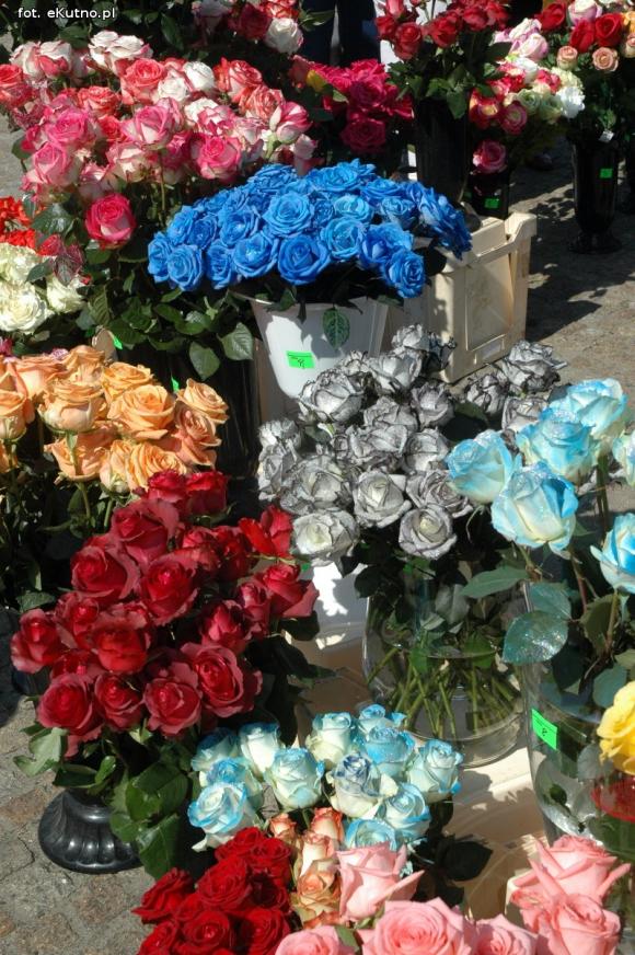 Raj dla ogrodników i dzieciaków