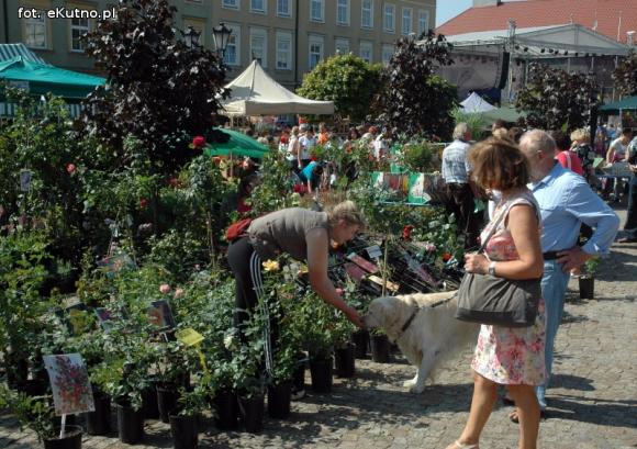 Raj dla ogrodników i dzieciaków