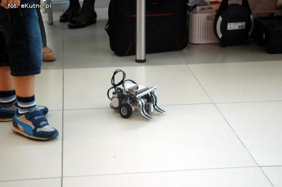 Targi edukacyjne w marcredo Center