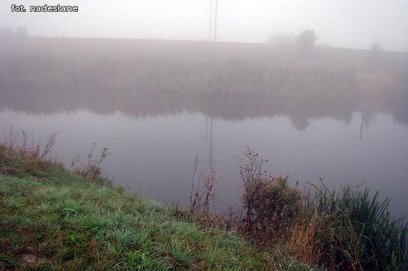 Zawody wędkarskie o puchar Wójta Gminy Nowe Ostrowy