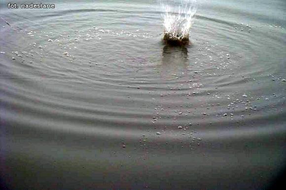 Zawody wędkarskie o puchar Wójta Gminy Nowe Ostrowy