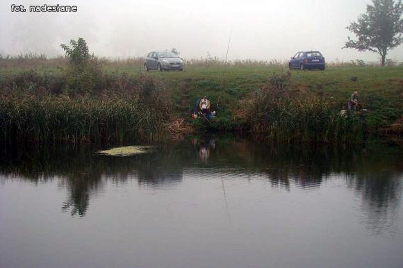 Zawody wędkarskie o puchar Wójta Gminy Nowe Ostrowy