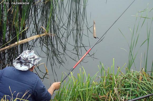 Zawody wędkarskie o puchar Wójta Gminy Nowe Ostrowy