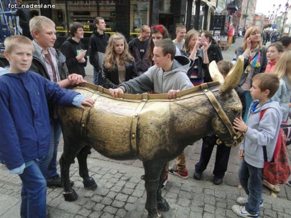 Wyspa Skarbów zorganizowała dla dzieci wycieczkę