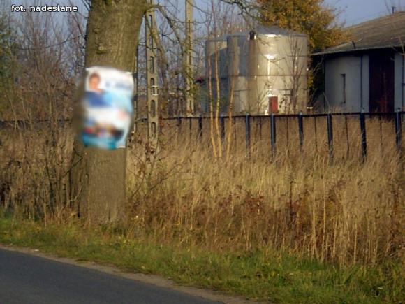 Czytelnicy pytają: Czy wolno wieszać plakaty wyborcze na drzewach?