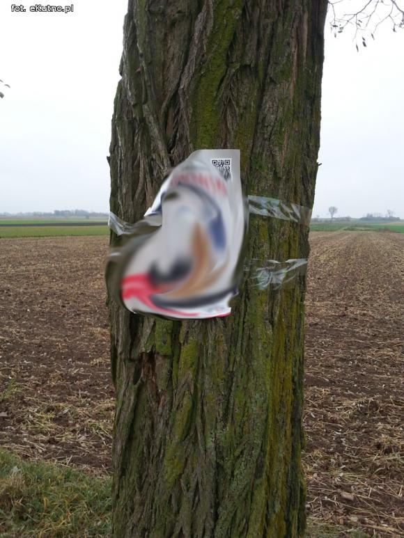 Wszystko dozwolone przed wyborami? Twarze na drzewach i 