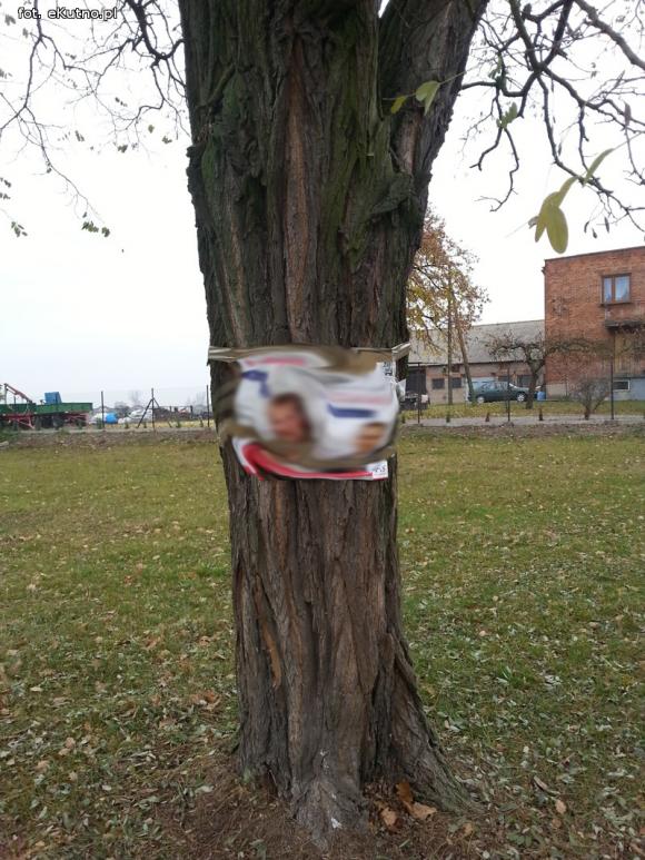 Wszystko dozwolone przed wyborami? Twarze na drzewach i 