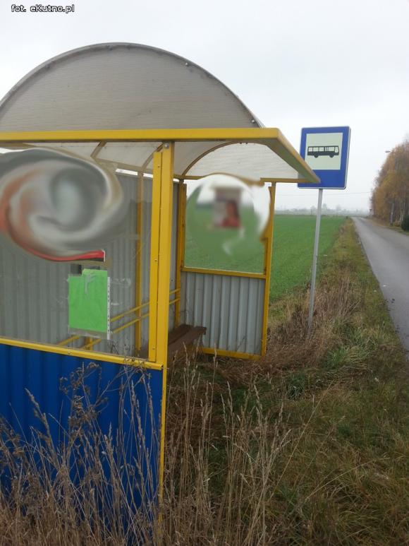 Wszystko dozwolone przed wyborami? Twarze na drzewach i 