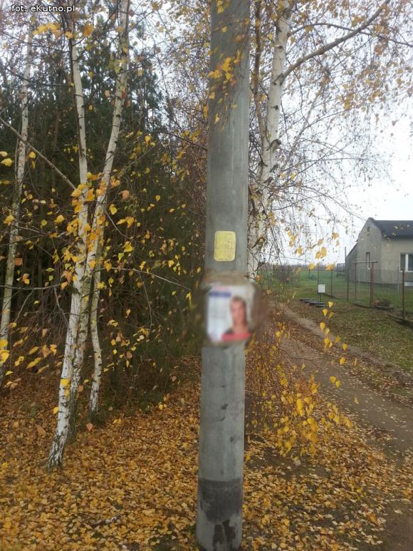 Wszystko dozwolone przed wyborami? Twarze na drzewach i 