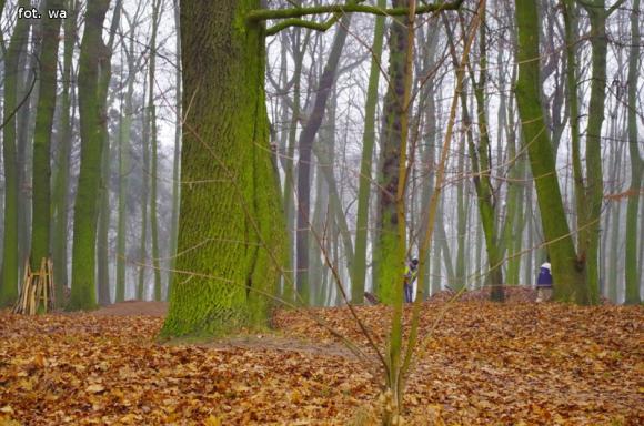 Sprawdzam. Czy to na pewno koniec rewitalizacji?