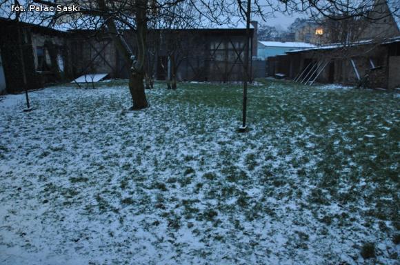 Opłatek muzyczny w Pałacu Saskim