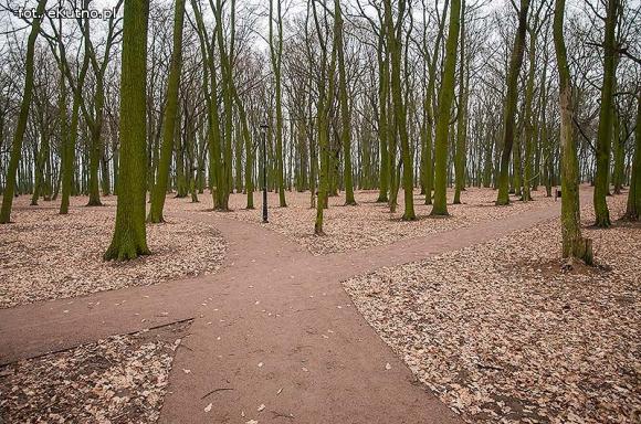 Park Wiosny Ludów w nowej odsłonie