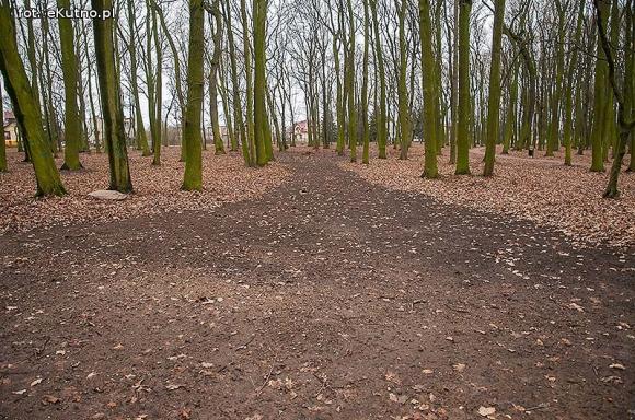 Park Wiosny Ludów w nowej odsłonie