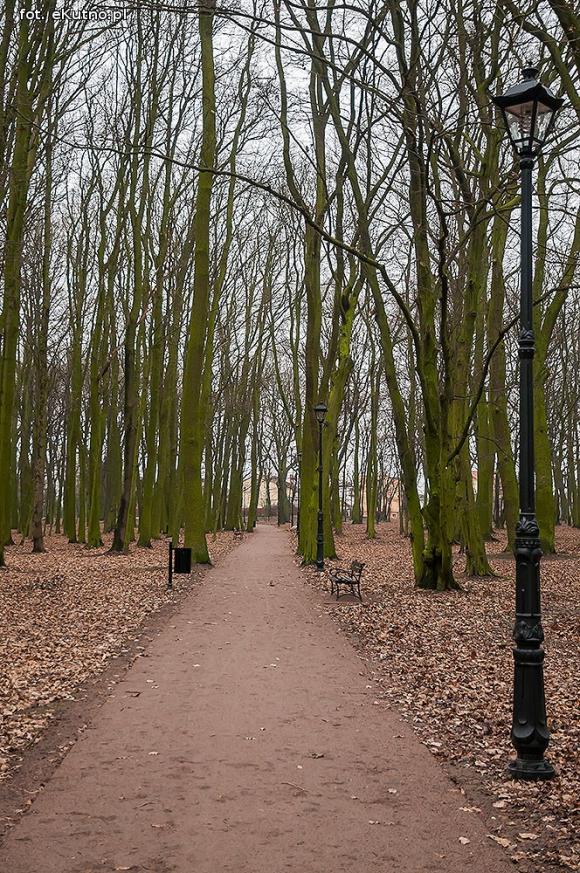 Park Wiosny Ludów w nowej odsłonie