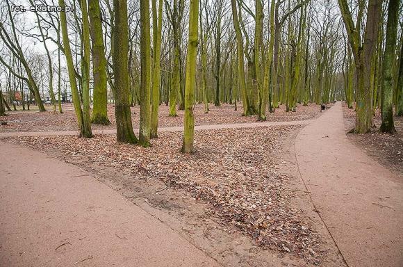 Park Wiosny Ludów w nowej odsłonie