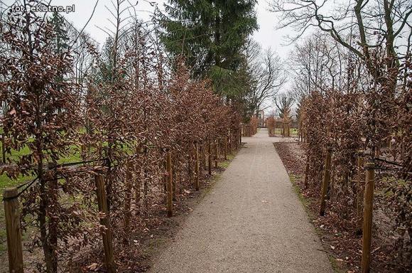Park Wiosny Ludów w nowej odsłonie